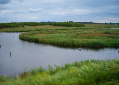 CIMG0611.jpg