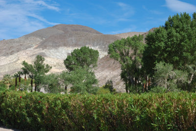 DSC_8242.jpg