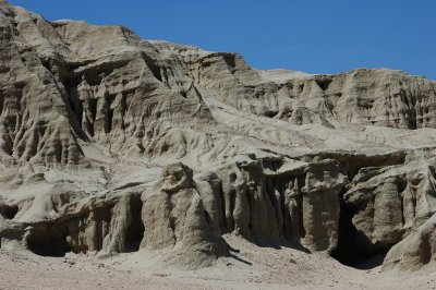 DSC_8425.jpg