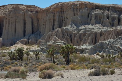 DSC_8426.jpg