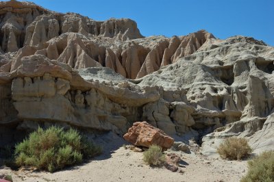 DSC_8433.jpg