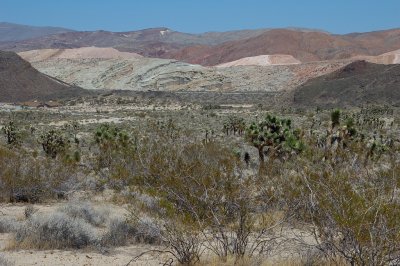 DSC_8438.jpg