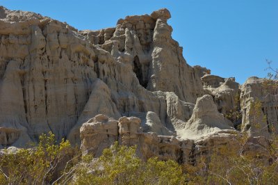 DSC_8450.jpg