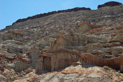 DSC_8455.jpg