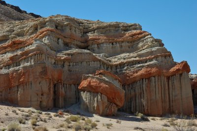 DSC_8457.jpg