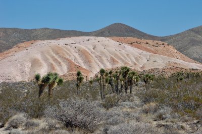 DSC_8474.jpg