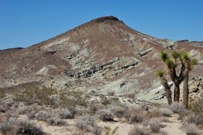 DSC_8477.jpg