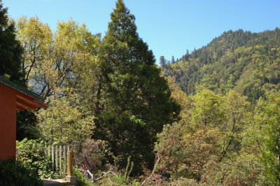 DSC_8519.jpg