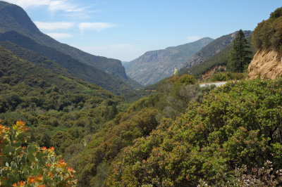 DSC_8588.jpg