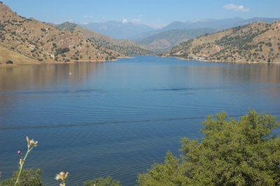 DSC_8608.jpg