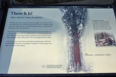 DSC_8681.jpg