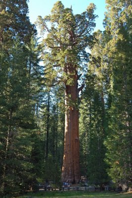 DSC_8683.jpg