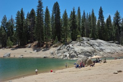 DSC_8729.jpg