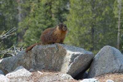 DSC_8753.jpg