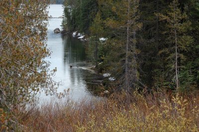 DSC_8766.jpg
