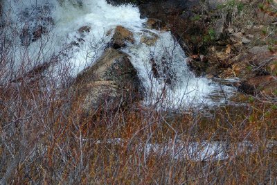 DSC_8768.jpg