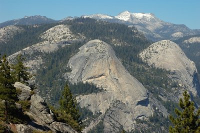 DSC_8867.jpg