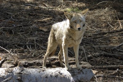 DSC_8914.jpg