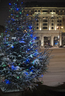 Fur trees light the winter night