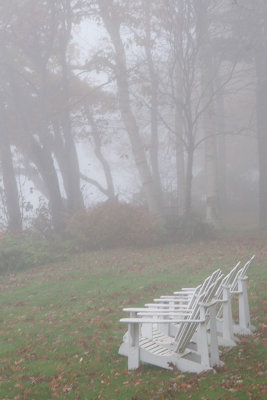 Misty seats