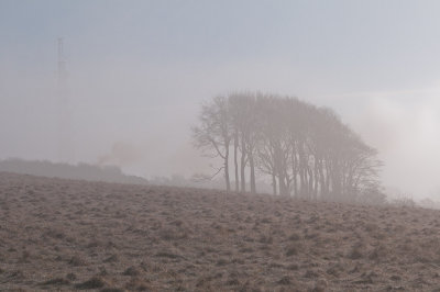 Misty morning on The Common