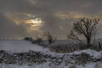 Cotswold snow (HDR)