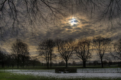 Playing Field (HDR)