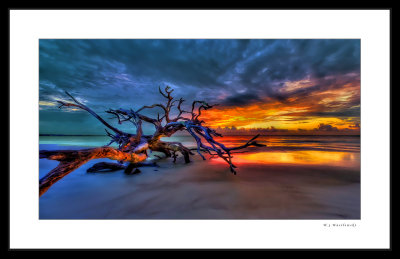 K5__7191+4_Grunge-III_raw_w1200_TL-Curly_Buz1_crop_USM.jpg