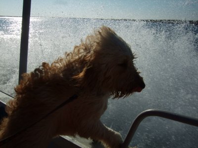 2012-11-29 Baylea enjoying the Bay