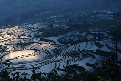 Yuanyang Rice Terraces 元陽梯田