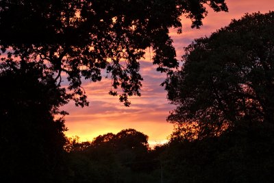 V road sunset.jpg