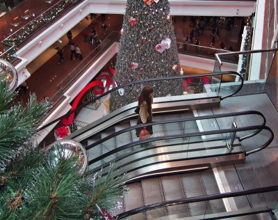D4_Christmas shopping Kowloon Tong_5.jpg