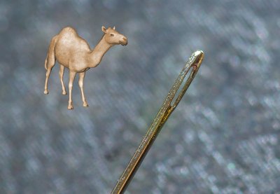 Camel and Needle_4.jpg