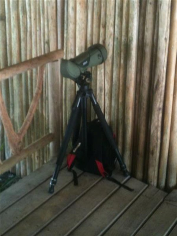 Gilbertos Scope