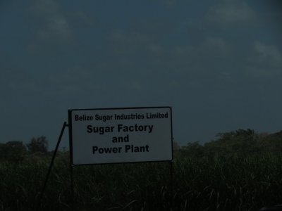 Sugarcane Sign