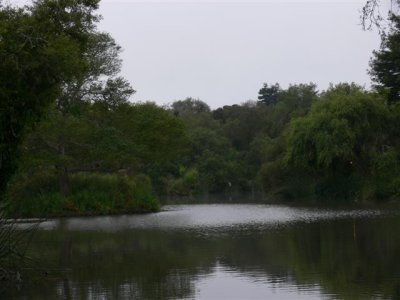 View of Neary Lagoon
