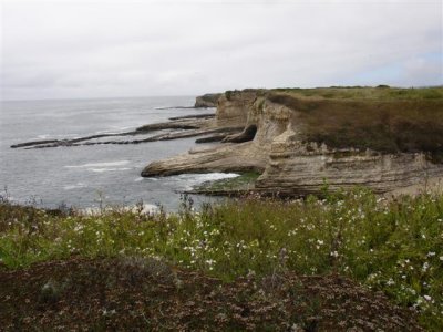 View from Wilder