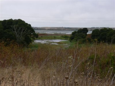 Elkhorn Slough