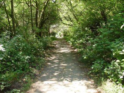 THe Bike Trail