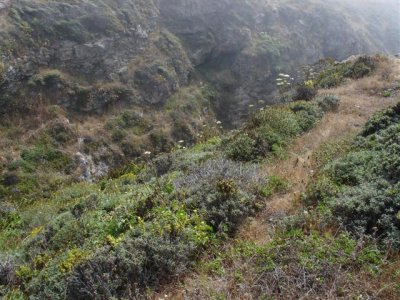 View Near Arch Rock
