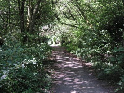 Bike Trail at Bear Valley