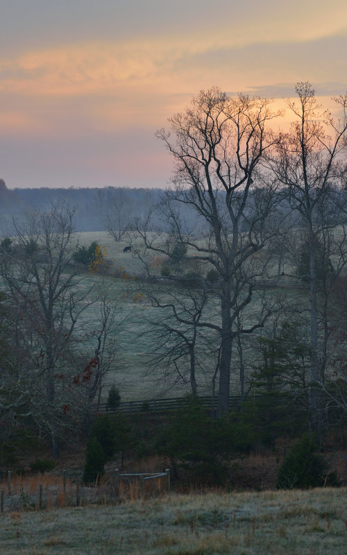 Northern VA Sunrise