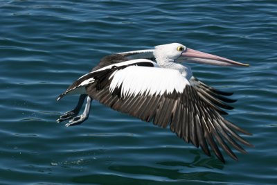 IMG_8946.JPG