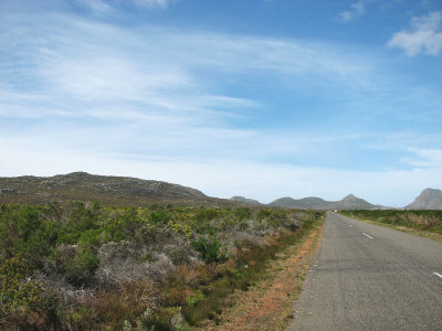 002_Cape Peninsula_030.jpg