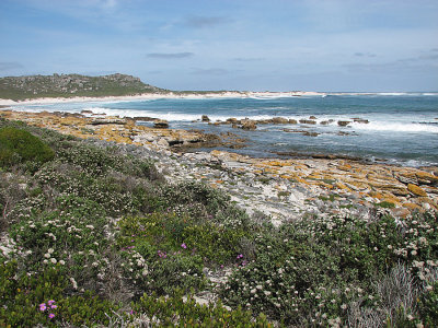 002_Cape Peninsula_031.jpg