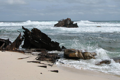 002_Cape Peninsula_042.jpg