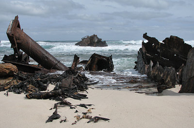 002_Cape Peninsula_043.jpg