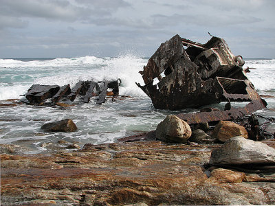 002_Cape Peninsula_046.jpg