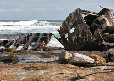 002_Cape Peninsula_047.jpg