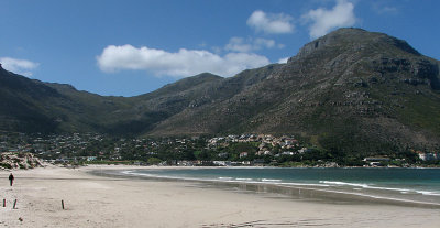 002_Cape Peninsula_076.jpg